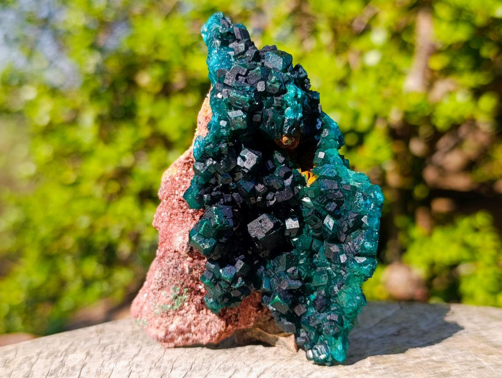 Natural Dioptase Specimens on Dolomite x 3 From Mashamba East Mine, Congo