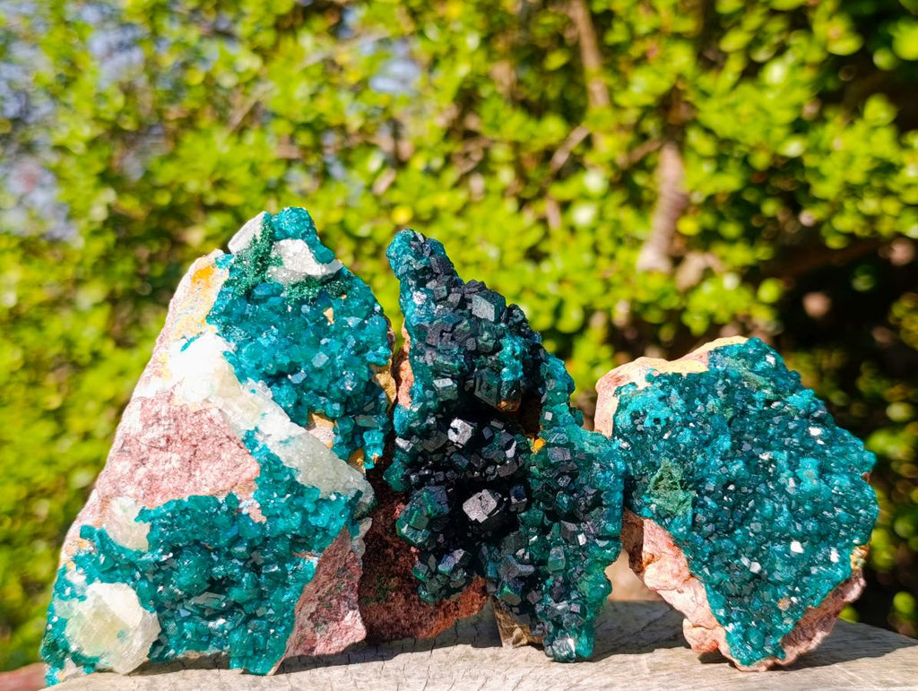 Natural Dioptase Specimens on Dolomite x 3 From Mashamba East Mine, Congo