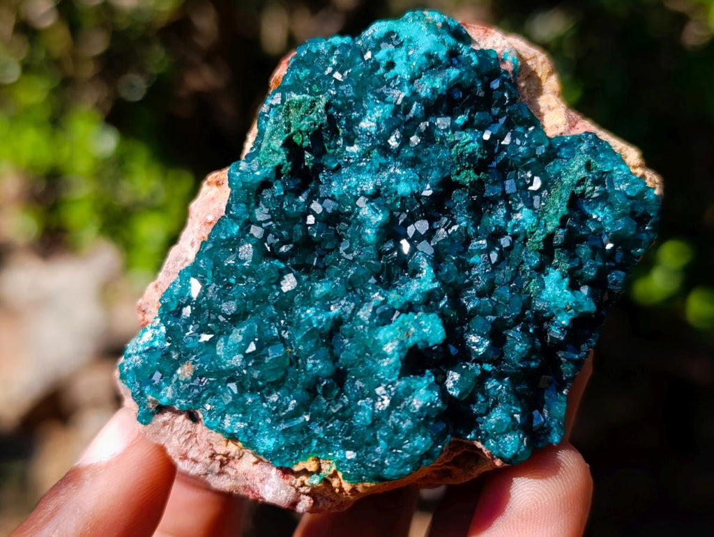 Natural Dioptase Specimens on Dolomite x 3 From Mashamba East Mine, Congo