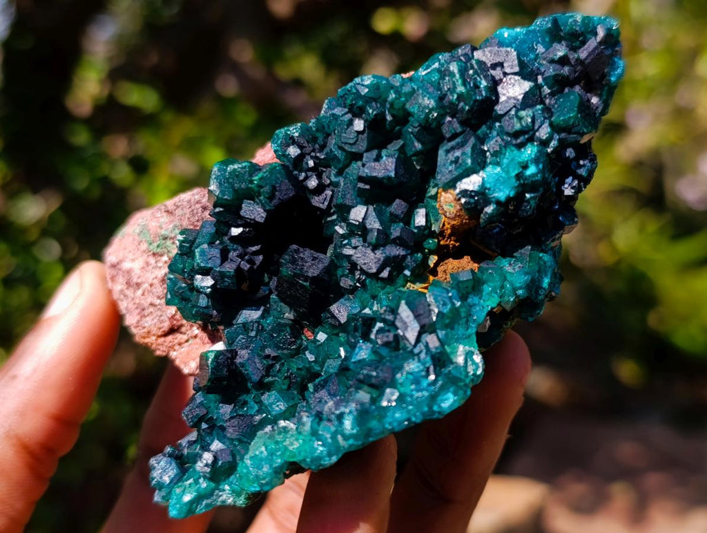 Natural Dioptase Specimens on Dolomite x 3 From Mashamba East Mine, Congo