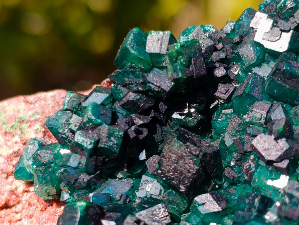 Natural Dioptase Specimens on Dolomite x 3 From Mashamba East Mine, Congo