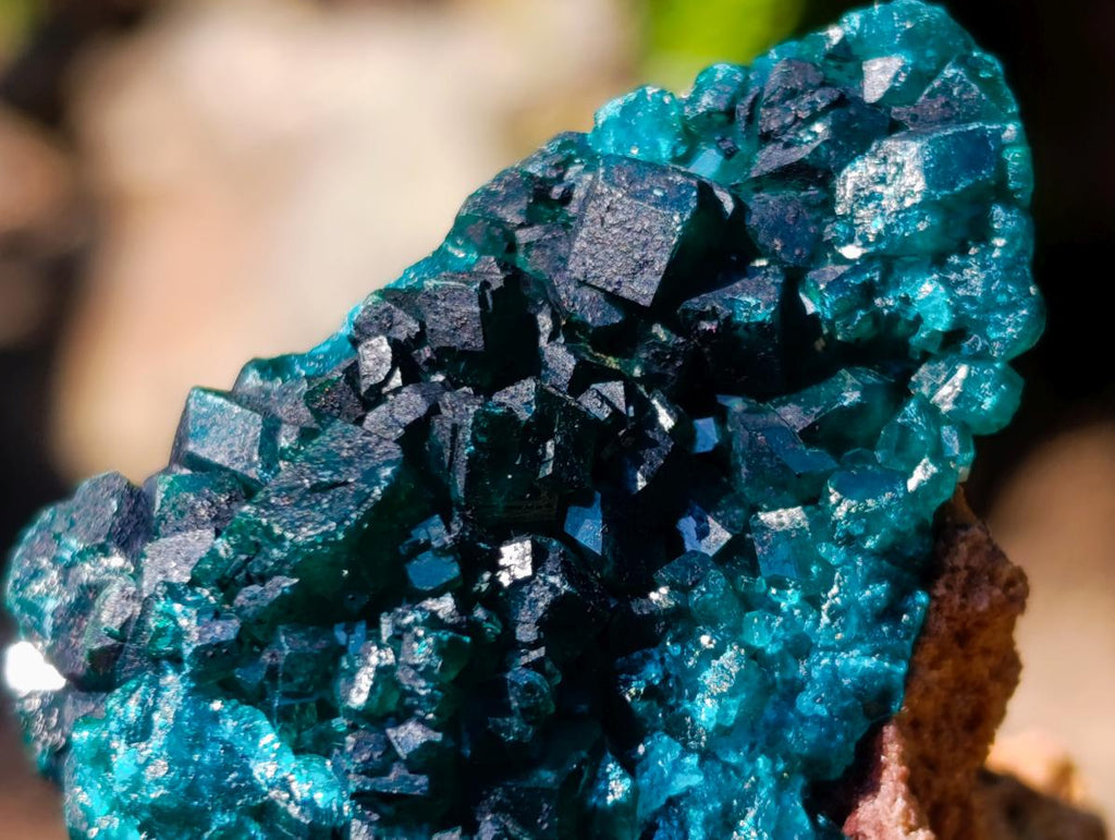 Natural Dioptase Specimens on Dolomite x 3 From Mashamba East Mine, Congo