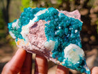 Natural Dioptase Specimens on Dolomite x 3 From Mashamba East Mine, Congo