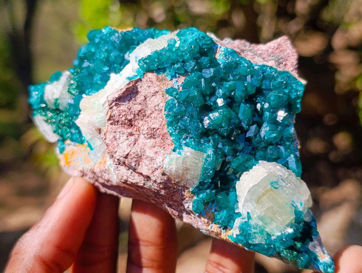 Natural Dioptase Specimens on Dolomite x 3 From Mashamba East Mine, Congo