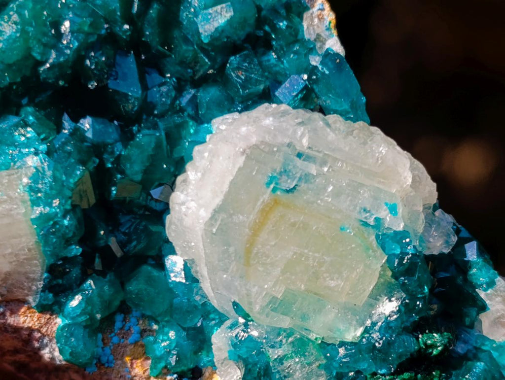 Natural Dioptase Specimens on Dolomite x 3 From Mashamba East Mine, Congo
