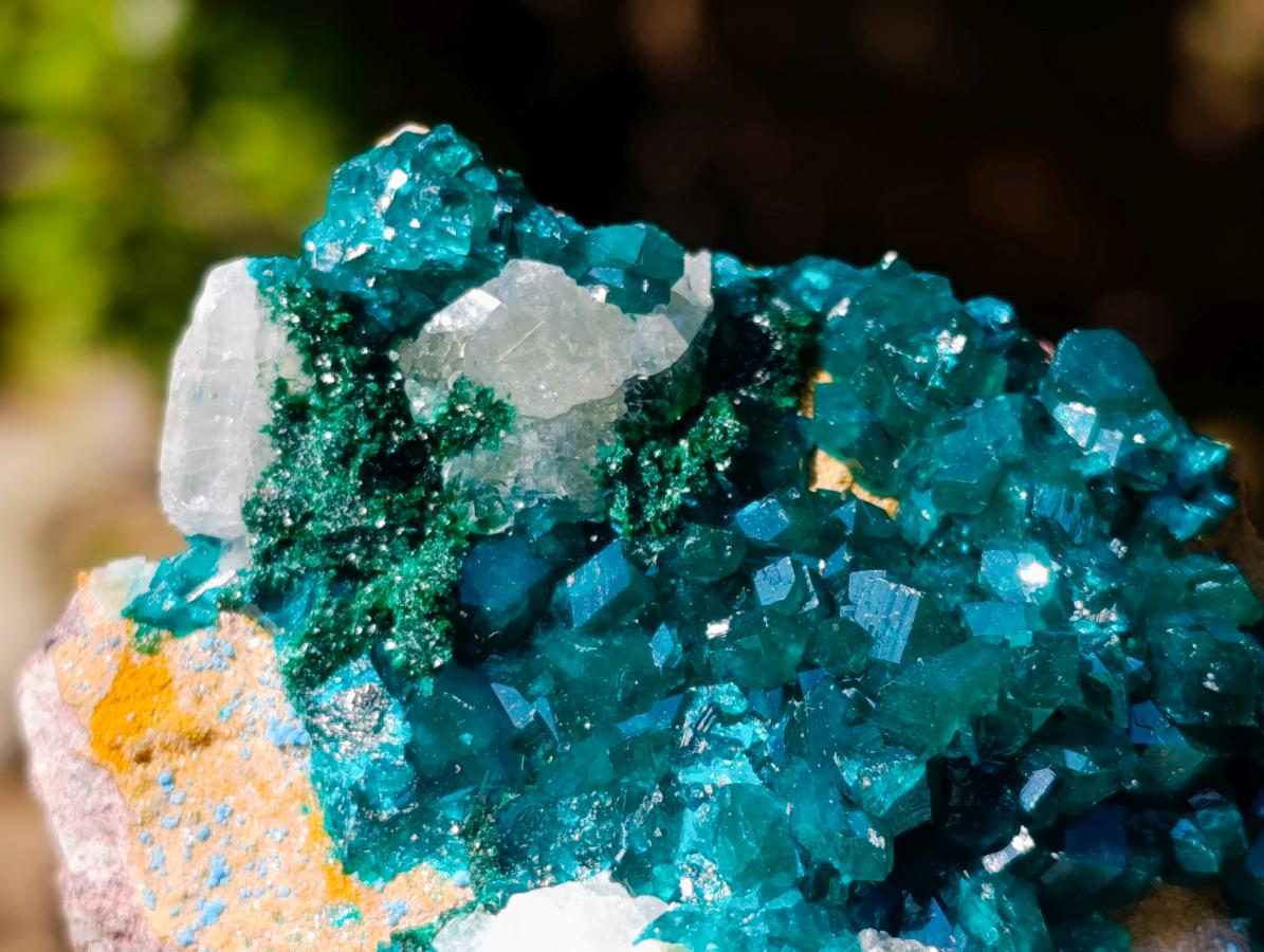 Natural Dioptase Specimens on Dolomite x 3 From Mashamba East Mine, Congo