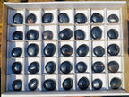 Polished Mini Black Tourmaline Jewellery Size Free Forms x 35 From Madagascar