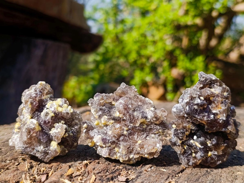 Natural Smokey Fluorite Specimens with Yellow Muscovite Mica x 12 From Erongo, Namibia