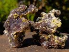 Natural Smokey Fluorite Specimens with Yellow Muscovite Mica x 12 From Erongo, Namibia