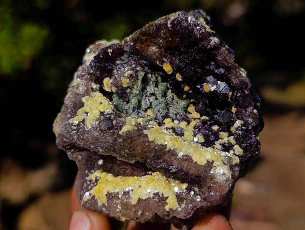 Natural Smokey Fluorite Specimens with Yellow Muscovite Mica x 12 From Erongo, Namibia