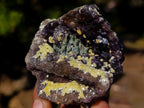 Natural Smokey Fluorite Specimens with Yellow Muscovite Mica x 12 From Erongo, Namibia