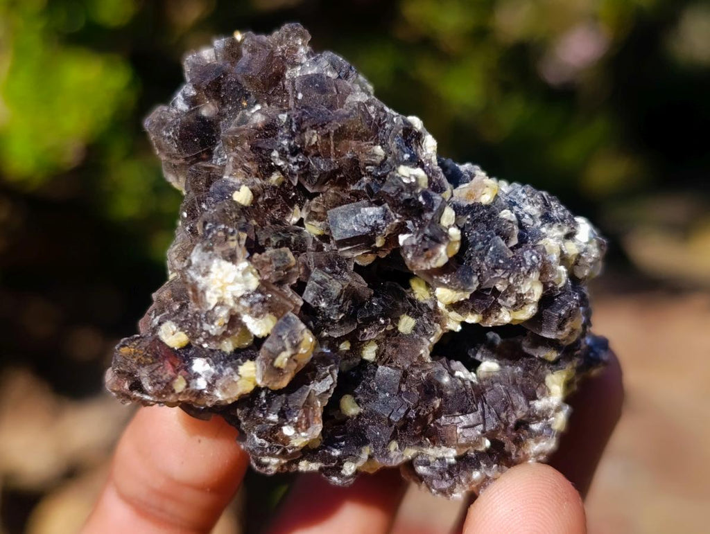 Natural Smokey Fluorite Specimens with Yellow Muscovite Mica x 12 From Erongo, Namibia