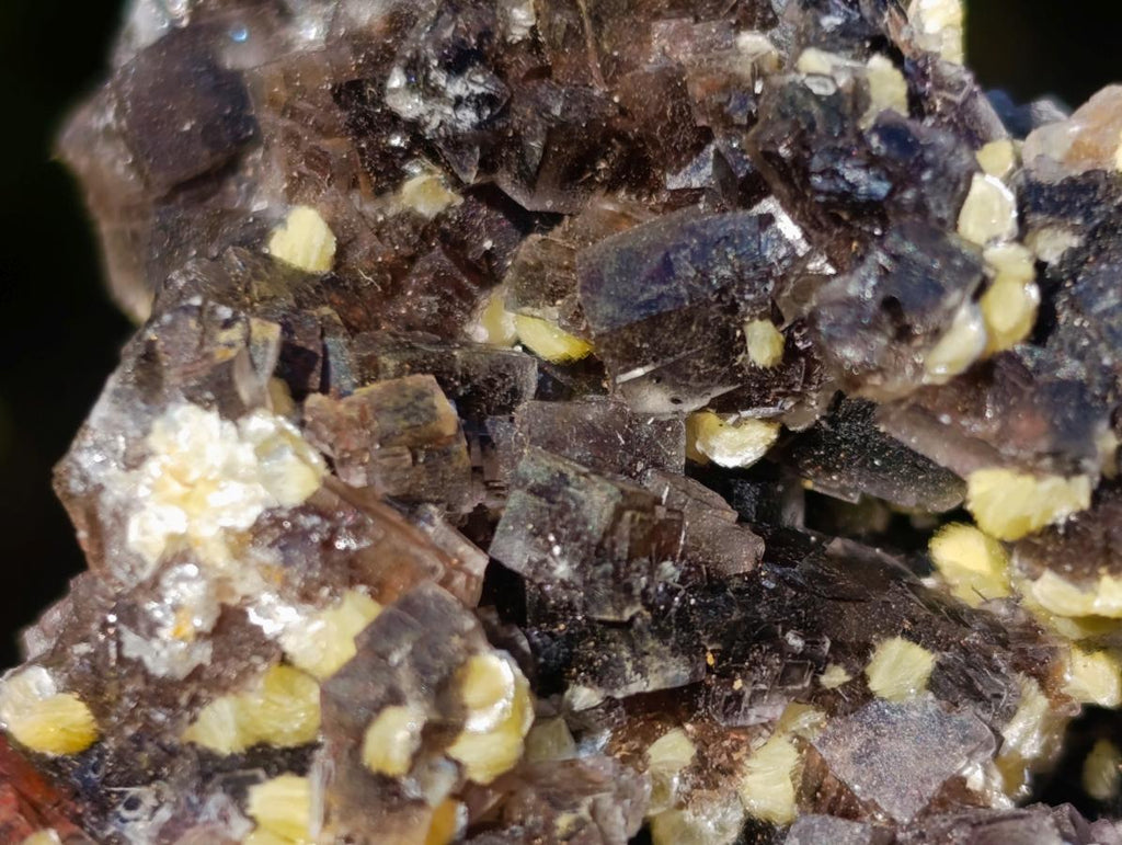 Natural Smokey Fluorite Specimens with Yellow Muscovite Mica x 12 From Erongo, Namibia
