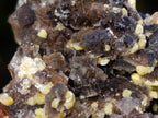 Natural Smokey Fluorite Specimens with Yellow Muscovite Mica x 12 From Erongo, Namibia