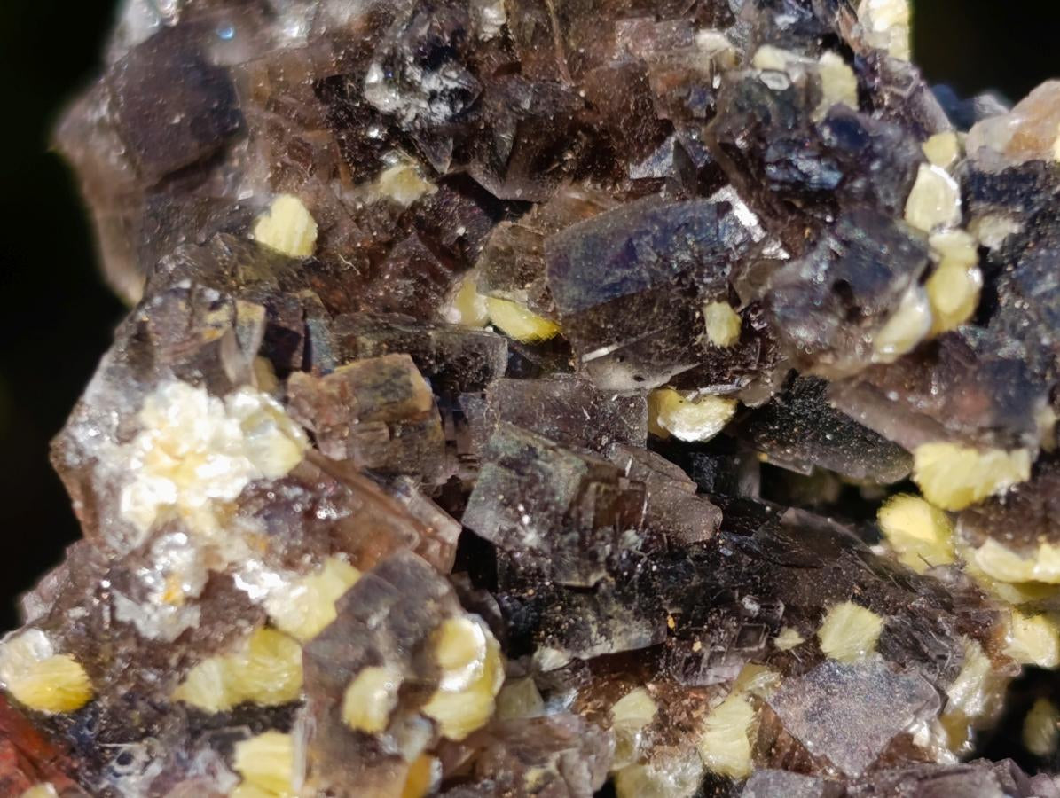 Natural Smokey Fluorite Specimens with Yellow Muscovite Mica x 12 From Erongo, Namibia
