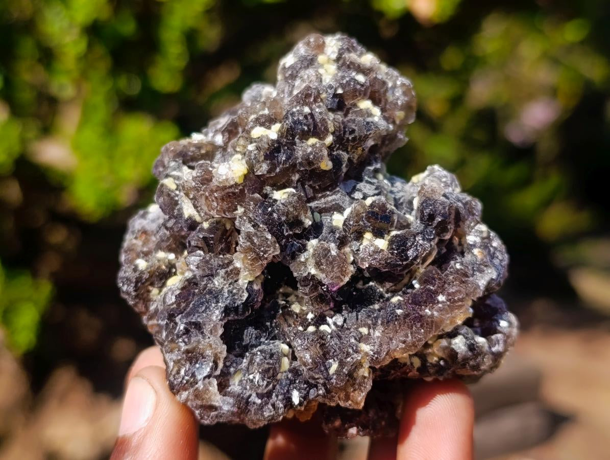 Natural Smokey Fluorite Specimens with Yellow Muscovite Mica x 12 From Erongo, Namibia