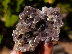 Natural Smokey Fluorite Specimens with Yellow Muscovite Mica x 12 From Erongo, Namibia