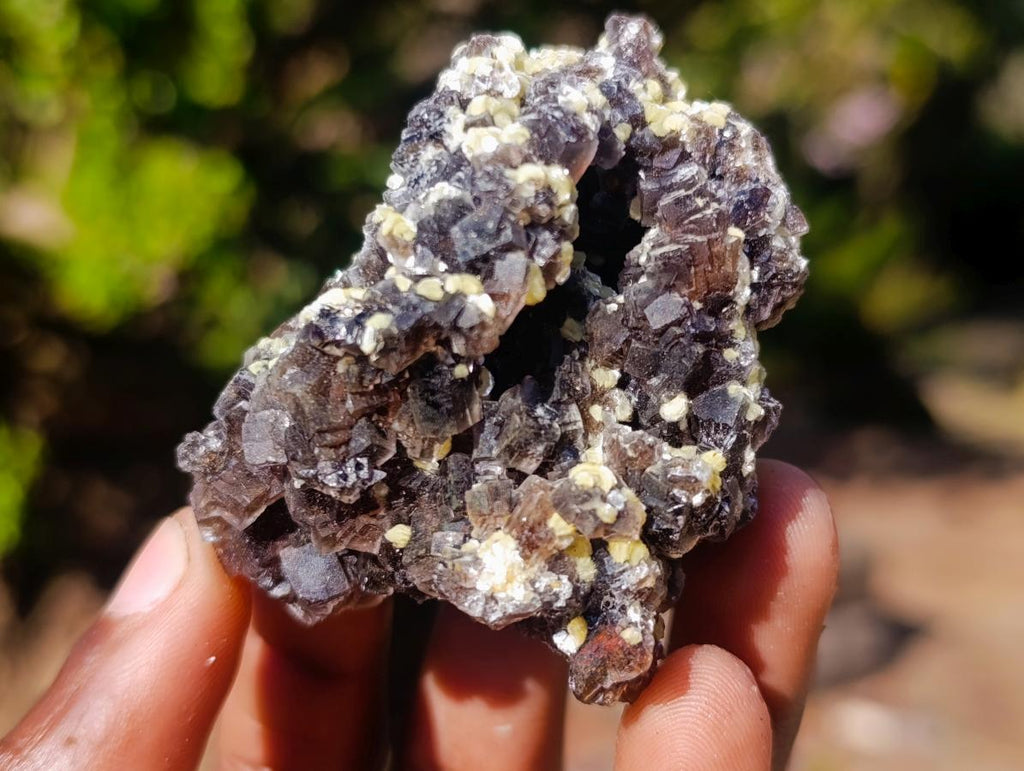 Natural Smokey Fluorite Specimens with Yellow Muscovite Mica x 12 From Erongo, Namibia