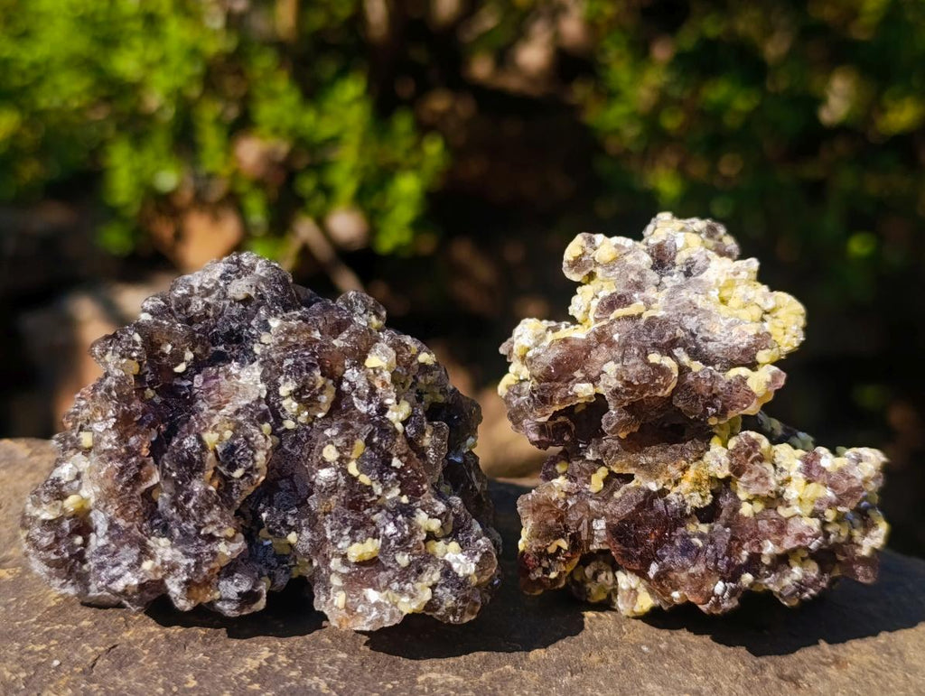 Natural Smokey Fluorite Specimens with Yellow Muscovite Mica x 12 From Erongo, Namibia