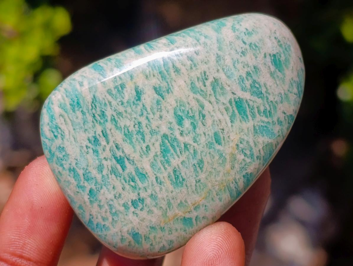 Polished Amazonite Free Forms x 14 From Zimbabwe