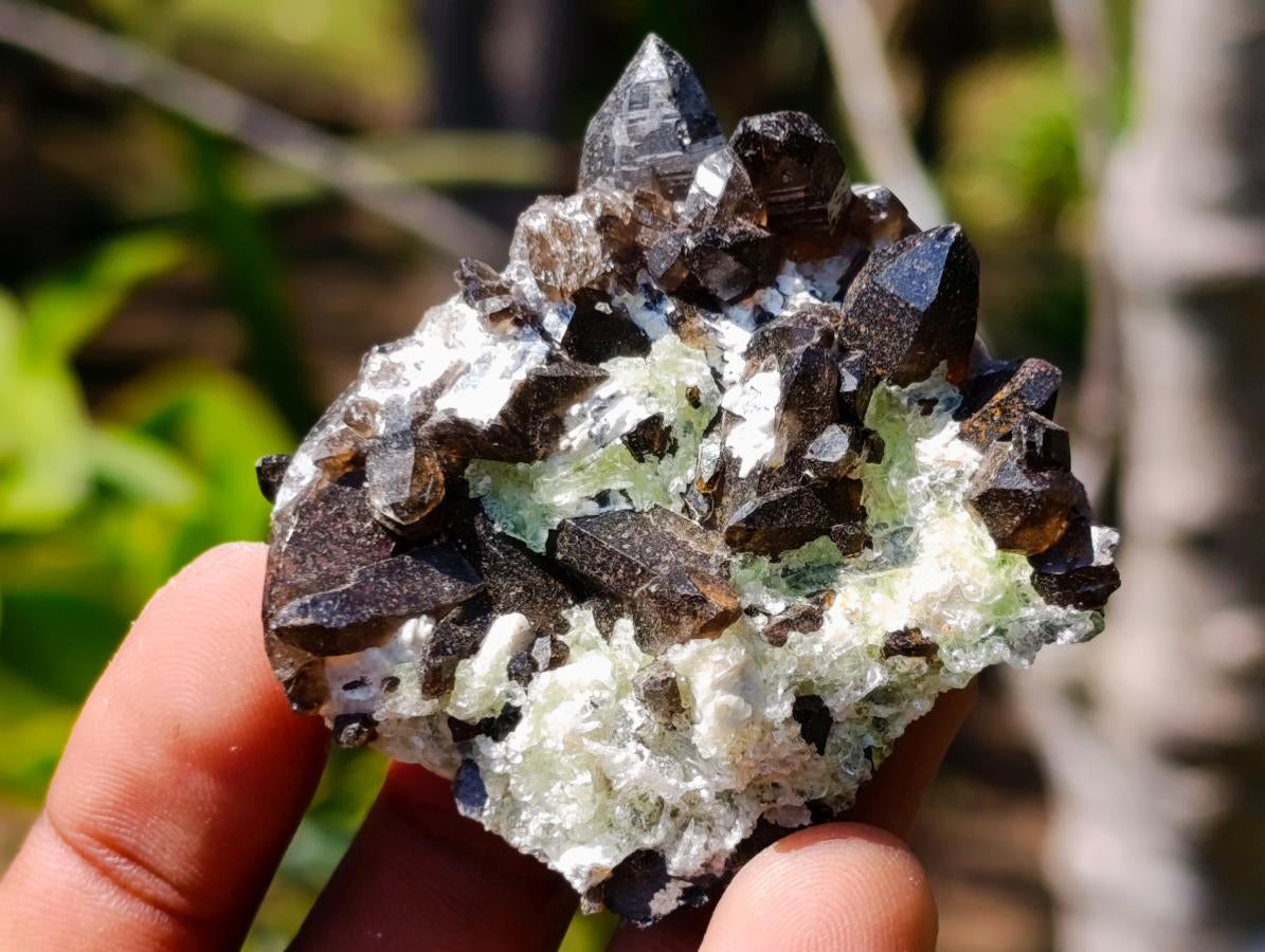 Natural Smokey Quartz Clusters with Associated Minerals x 26 From Erongo, Namibia