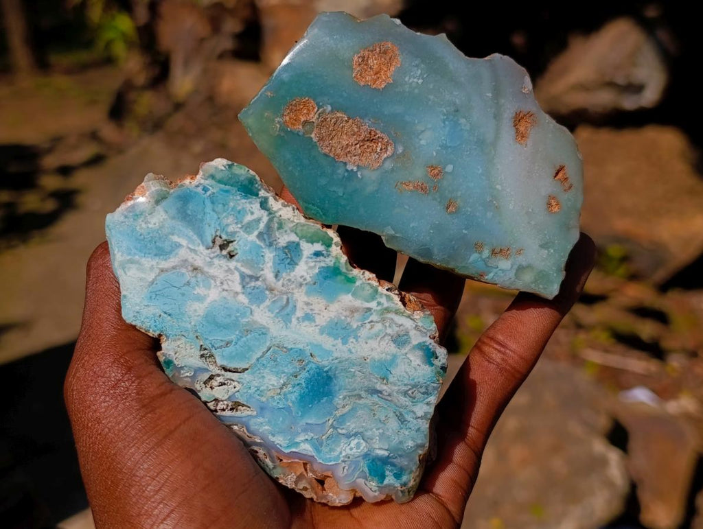 Polished One Side Great Dyke Mtorolite Chrysoprase Slices x 12 From Great Dyke Mountain Range, Zimbabwe