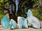 Polished One Side Great Dyke Mtorolite Chrysoprase Slices x 12 From Great Dyke Mountain Range, Zimbabwe