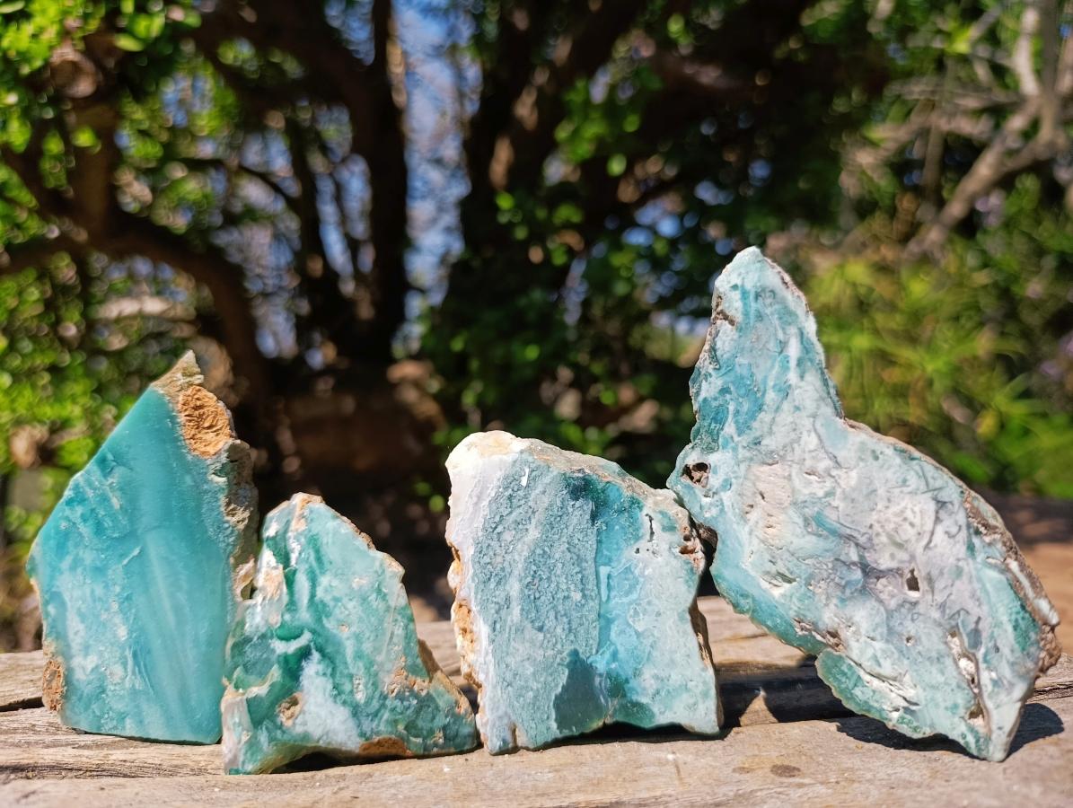 Polished One Side Great Dyke Mtorolite Chrysoprase Slices x 12 From Great Dyke Mountain Range, Zimbabwe