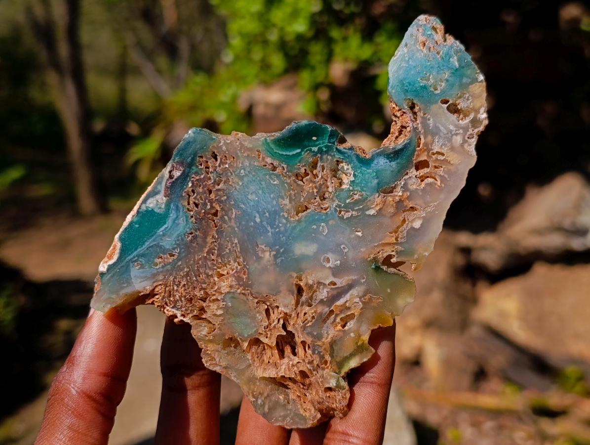 Polished One Side Great Dyke Mtorolite Chrysoprase Slices x 12 From Great Dyke Mountain Range, Zimbabwe