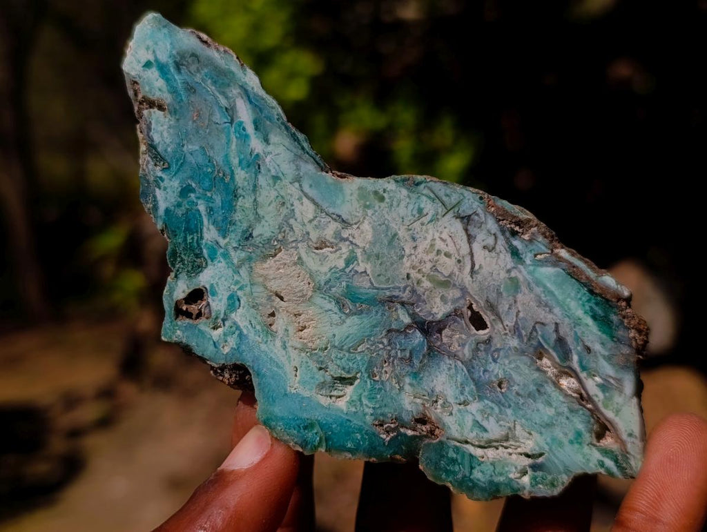 Polished One Side Great Dyke Mtorolite Chrysoprase Slices x 12 From Great Dyke Mountain Range, Zimbabwe
