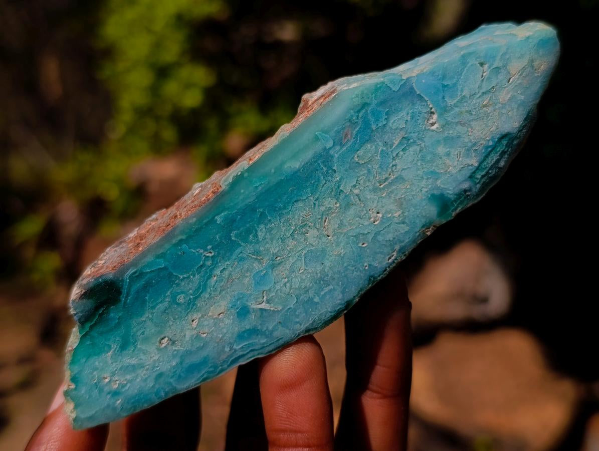Polished One Side Great Dyke Mtorolite Chrysoprase Slices x 12 From Great Dyke Mountain Range, Zimbabwe