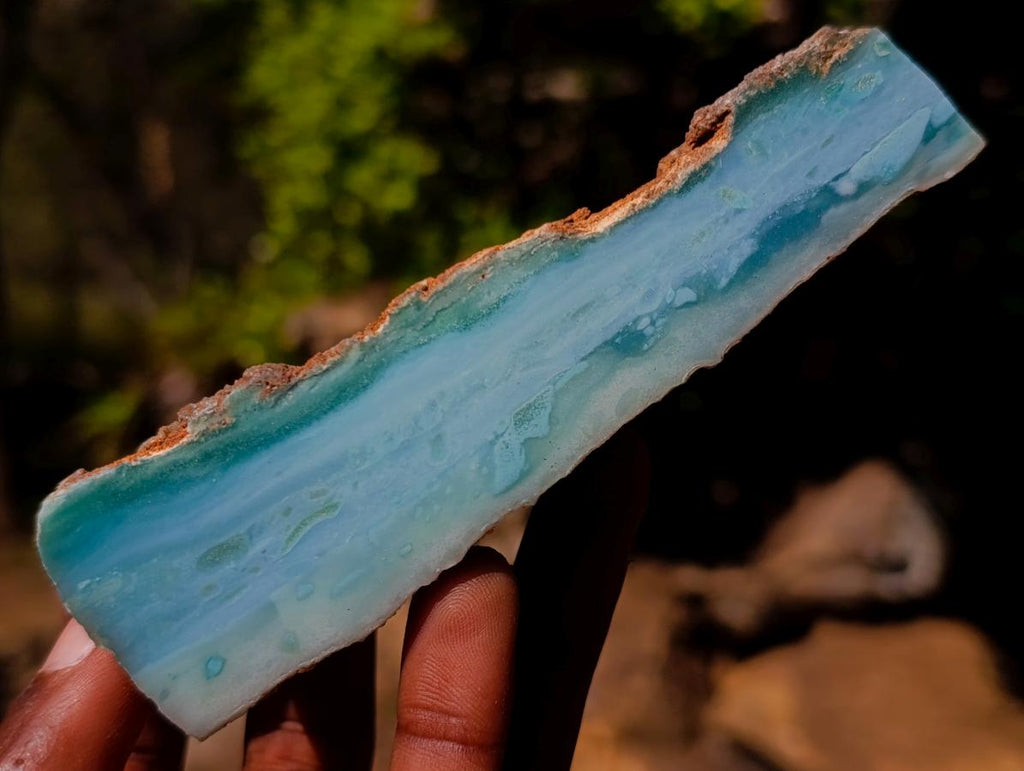 Polished One Side Great Dyke Mtorolite Chrysoprase Slices x 12 From Great Dyke Mountain Range, Zimbabwe