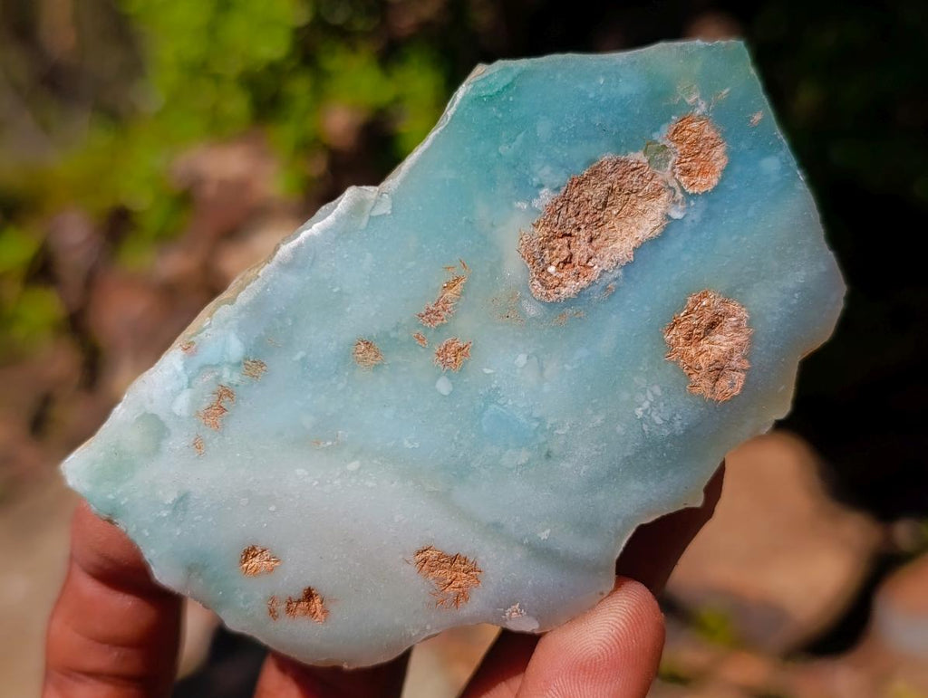 Polished One Side Great Dyke Mtorolite Chrysoprase Slices x 12 From Great Dyke Mountain Range, Zimbabwe