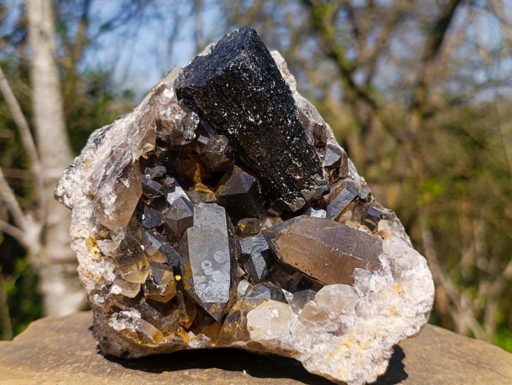 Natural Smokey Quartz Specimens with Associated Minerals x 2 From Erongo, Namibia