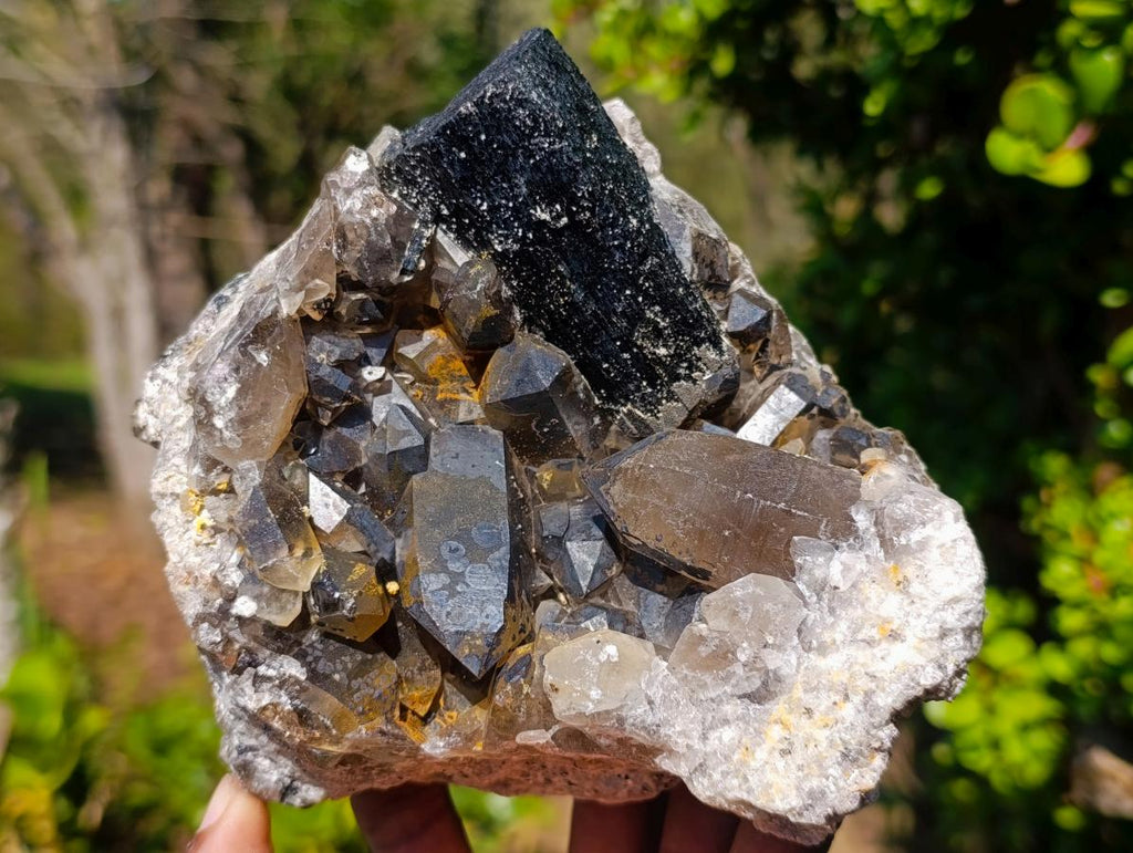 Natural Smokey Quartz Specimens with Associated Minerals x 2 From Erongo, Namibia