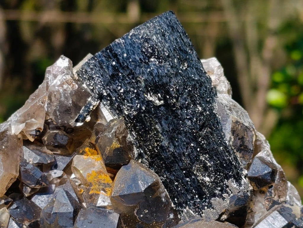 Natural Smokey Quartz Specimens with Associated Minerals x 2 From Erongo, Namibia