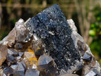Natural Smokey Quartz Specimens with Associated Minerals x 2 From Erongo, Namibia