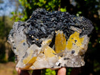 Natural Smokey Quartz Specimens with Associated Minerals x 2 From Erongo, Namibia