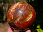 Polished Red Podocarpus Petrified Wood Spheres x 2 From Mahajanga, Madagascar