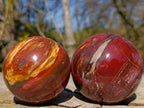 Polished Red Podocarpus Petrified Wood Spheres x 2 From Mahajanga, Madagascar