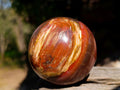 Polished Red Podocarpus Petrified Wood Spheres x 2 From Mahajanga, Madagascar