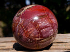 Polished Red Podocarpus Petrified Wood Spheres x 2 From Mahajanga, Madagascar
