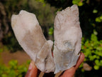 Natural Spearhead Calcite Crystal Specimens x 12 From Albert's Mountain, Lesotho