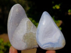 Polished and Natural Blue Lace Agate Free Forms x 12 From Nsanje, Malawi