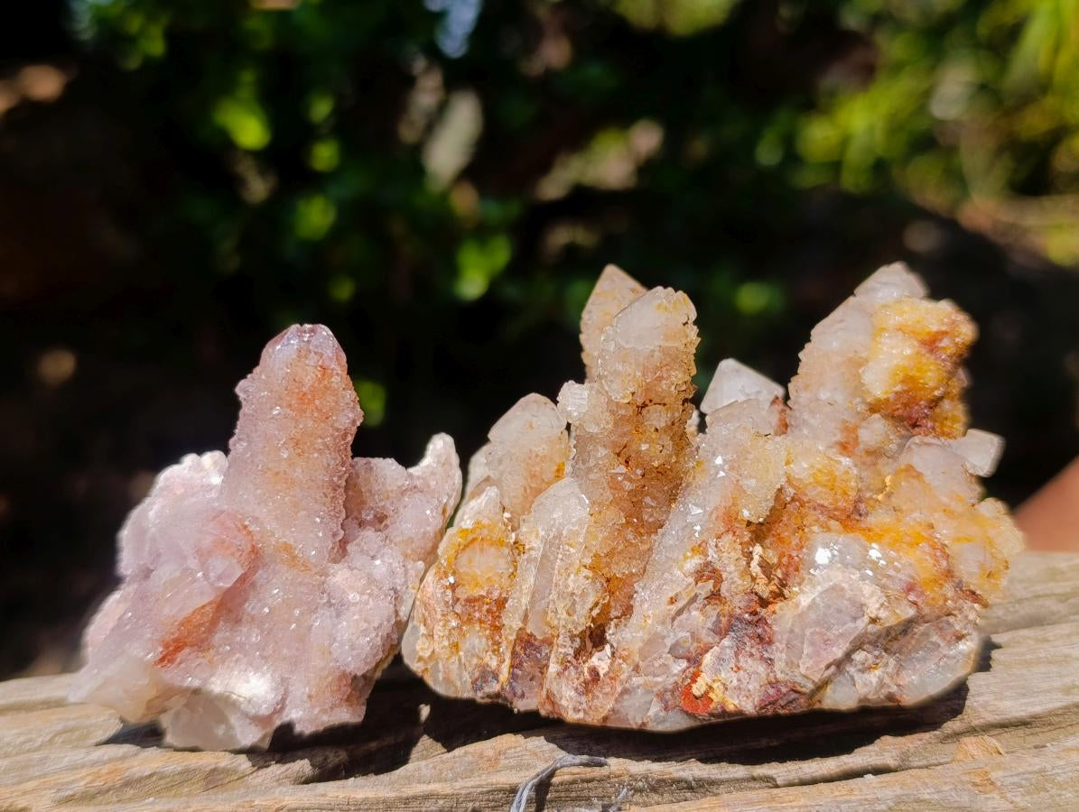 Natural Mix of Spirit Quartz Clusters x 24 From Boekenhouthoek, South Africa