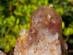 Natural Large Red Hematoid Quartz Cluster x 1 From Karoi, Zimbabwe