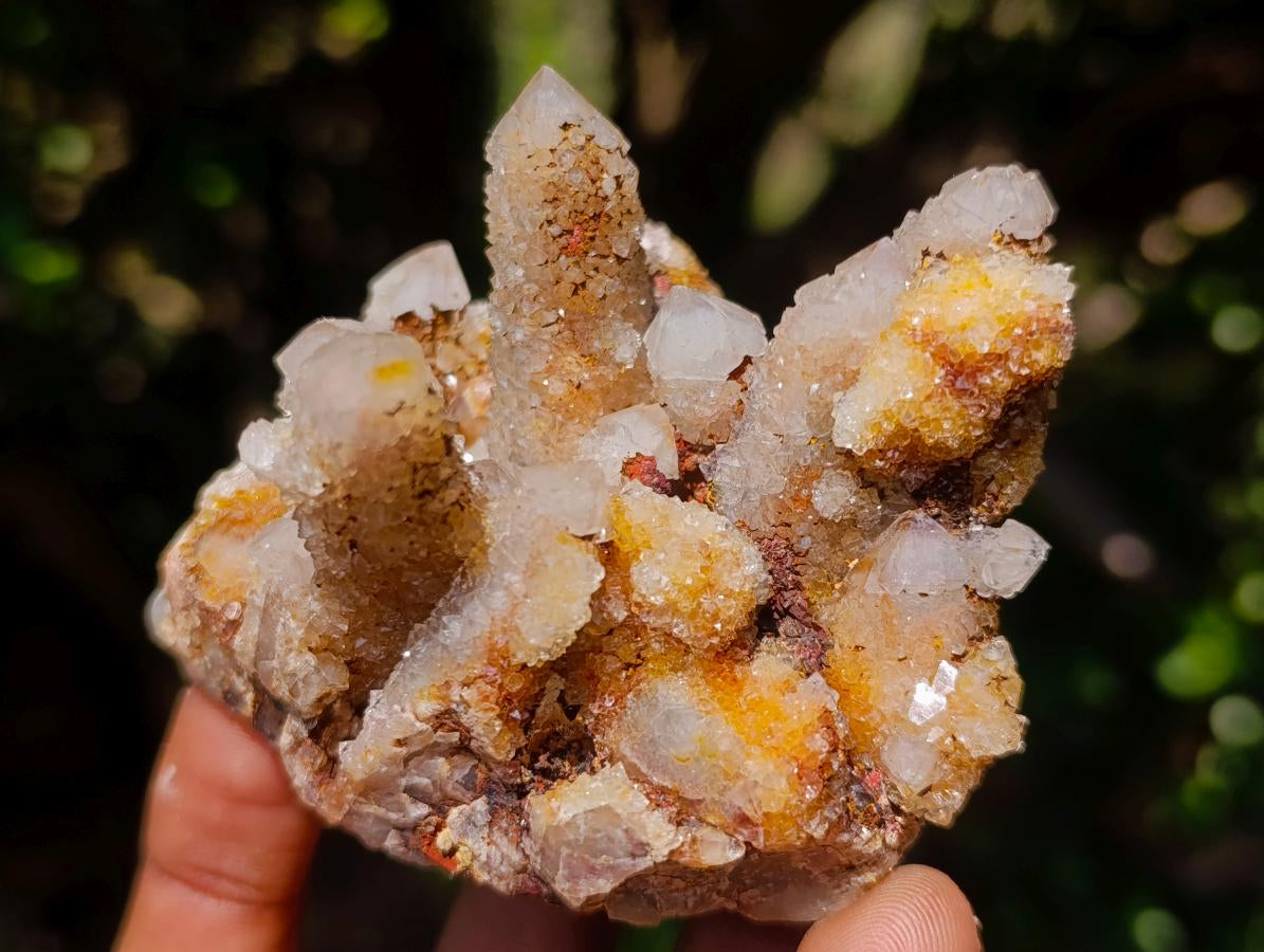 Natural Mix of Spirit Quartz Clusters x 24 From Boekenhouthoek, South Africa