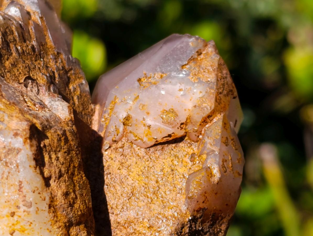 Natural Large Red Hematoid Quartz Cluster x 1 From Karoi, Zimbabwe