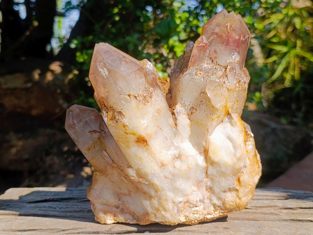 Natural Large Red Hematoid Quartz Cluster x 1 From Karoi, Zimbabwe