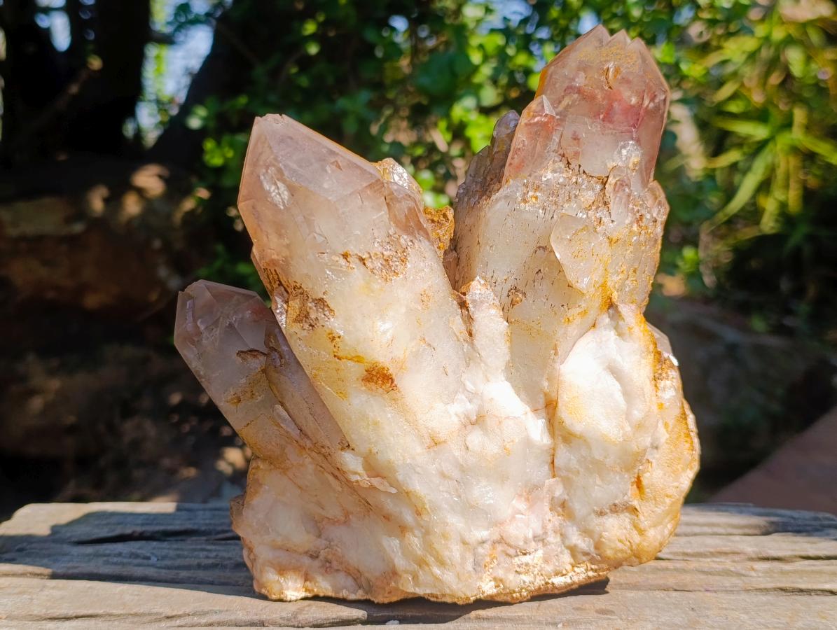 Natural Large Red Hematoid Quartz Cluster x 1 From Karoi, Zimbabwe